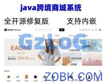 二开版java版跨境商城/tiktokshop内嵌跨境电商/java跨境独立站二开/带详细搭建教程