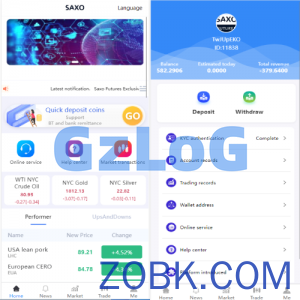 多语言微交易系统/微盘伪交易所/前端vue