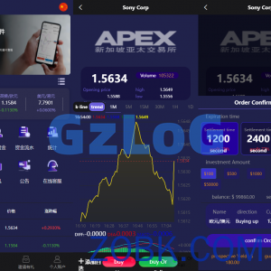 5国语言交易所完整修复K线USDT外汇