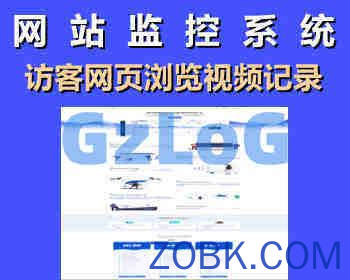 站长网站统计系统， 用视频记录访客的网页浏览 点击事件 表单提交 网站热图
