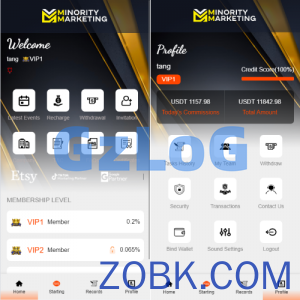 海外抢单刷单系统/连单系统/VUE3开发