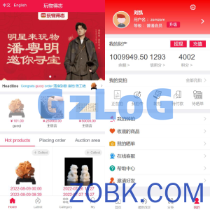 双语言版竞拍系统/竞拍转拍源码/竞拍商城/商场寄售系统