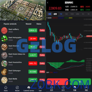 完美版三语言微交易系统/微盘源码/K线正常/投资理财源码