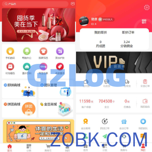 即拼商城/拼团商城/拼团返利商城/二合一商城/前端vue源码