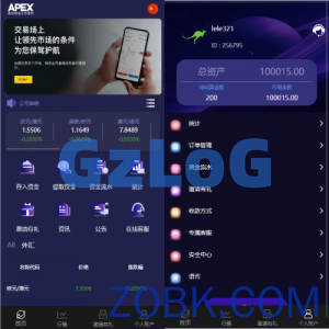 新UI多语言微盘外汇系统/时间盘微盘源码