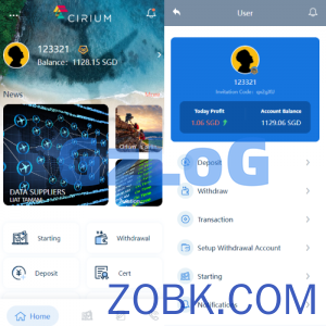 新版海外航空抢单刷单系统/订单自动匹配/前端uinapp