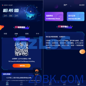 前端vue版哈希竞彩/区块链哈希值游戏/usdt/trx双玩法