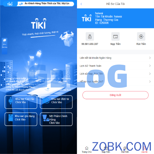 定制版越南TIKI投资系统/奢饰品投资返利/海外投资源码