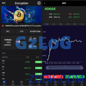 全新PC版微盘系统/微盘外汇系统/USDT充值/九种语言/实名认证