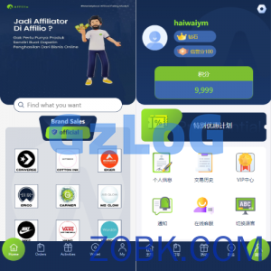 多语言海外伪商城刷单系统/CP快三/带预设/订单自动匹配