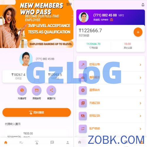二开版海外抢单系统/在线派单连单/多语言抢单刷单源码