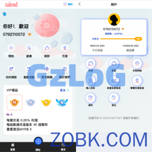 新UI软件游戏抢单刷单系统/海外刷单源码/订单自动匹配