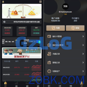 多语言海外微盘系统/外汇期货微交易/时间盘系统