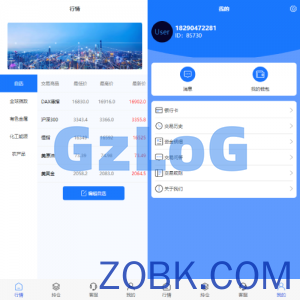 现货微交易系统/微盘时间盘系统/群控单控/前后端VUE