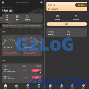 新版多语言海外微盘系统/微交易/虚拟币时间盘/伪交易所