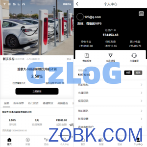 新版海外特斯拉投资系统/多语言投资理财/前端vue