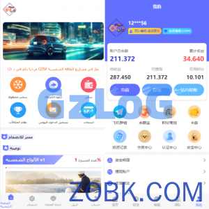 阿拉伯投资理财系统/海外投资众筹系统/前端vue