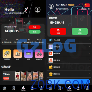 多语言TIKTOK刷单/海外TIKTOK抢单刷单/叠加组/打针