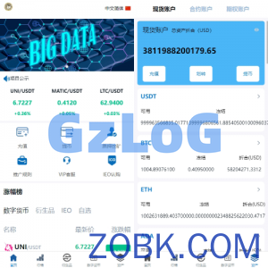 新版多语言交易所系统/虚拟币外汇交易/期权合约交易