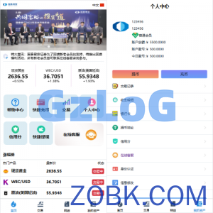 海外微交易系统/虚拟币黄金期货微盘/多语言秒合约微盘