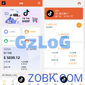 海外tiktok抢单刷单系统/前端uniapp/多语言刷单打针