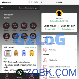 海外抢单刷单系统/模式分组派单/前端uniapp