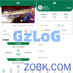 前端VUE全开源/反波胆系统/反波胆源码/足球下注系统