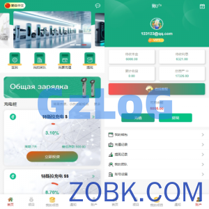 新UI新能源充电桩投资系统/海外投资理财/前端VUE