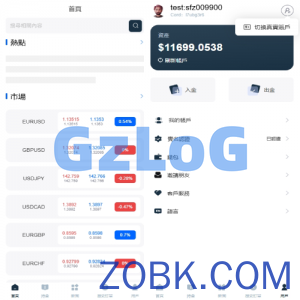 海外FX6系统/多语言外汇虚拟币合约交易/K线控制