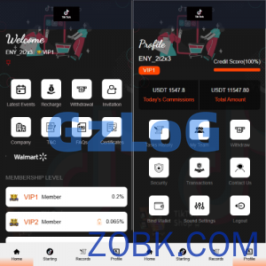 海外TIKTOK抢单刷单系统/连单卡单/前端VUE