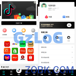 多语言tiktok抢单刷单系统/海外抢单系统/连单卡单
