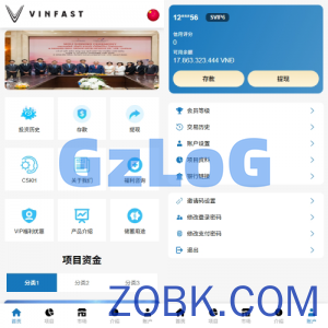 海外投资众筹系统/越南投资理财/前端VUE