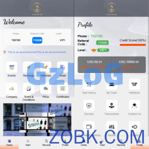 海外抢单刷单系统/幸运单/连单卡单/订单重置/订单评价