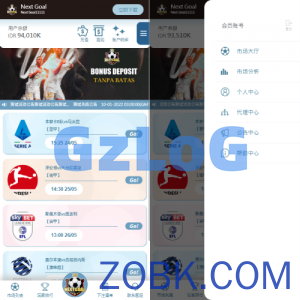 PC自适应反波胆系统/球盘源码/多级分销/充值返点