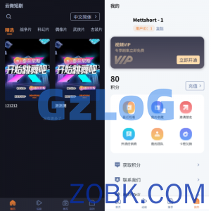 海外短剧系统/多语言短剧/收费短剧剧集/saas版源码