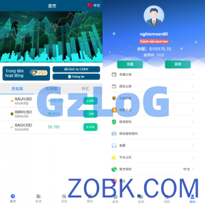 多语言微交易/贵金属外汇虚拟币微盘源码/越南时间盘