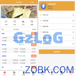 海外微交易系统/多语言微盘/外汇交易/时间盘