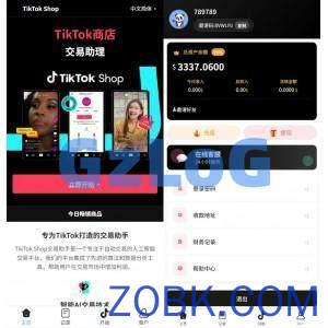 海外tiktok抢单刷单系统/手动派单/爆单卡单