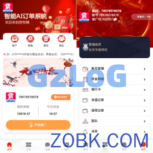 运营版抢单刷单系统/打针/做单/会员跟踪/信誉分