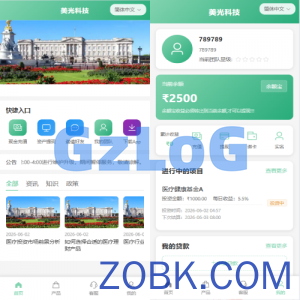 新版海外投资理财系统/医疗项目基金投资/贷款/余额宝