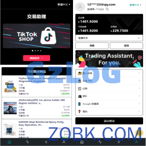 海外TIKTOK抢单刷单/60关卡任务/金额打针/连单卡单
