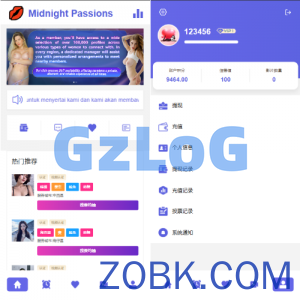 多语言欧美空降约/炮/同城任务/海外空降系统