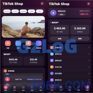 新版TIKTOK抢单刷单/打针派单/连单卡单/JAVA刷单